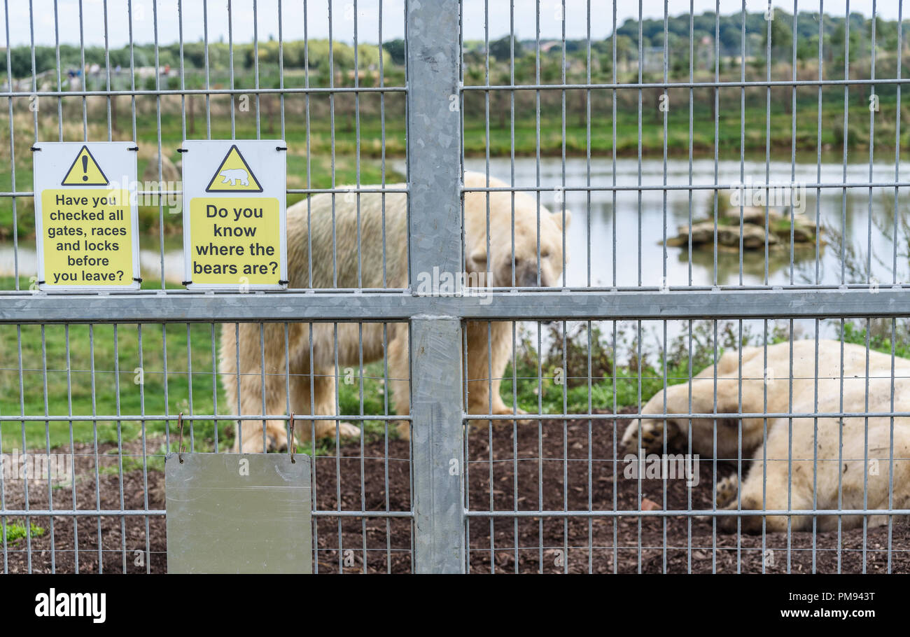 A safety warning sign reminding staff to check the security of the Polar bears at the Yorkshire Wildlife Park, Doncaster, Uk. Stock Photo