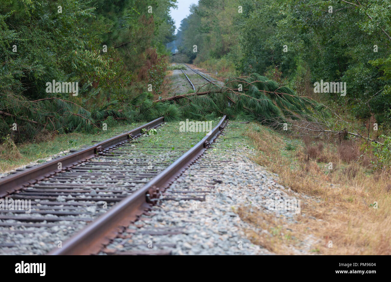 Raeford, North Carolina, United States/August 17, 2018 Railroad tracks