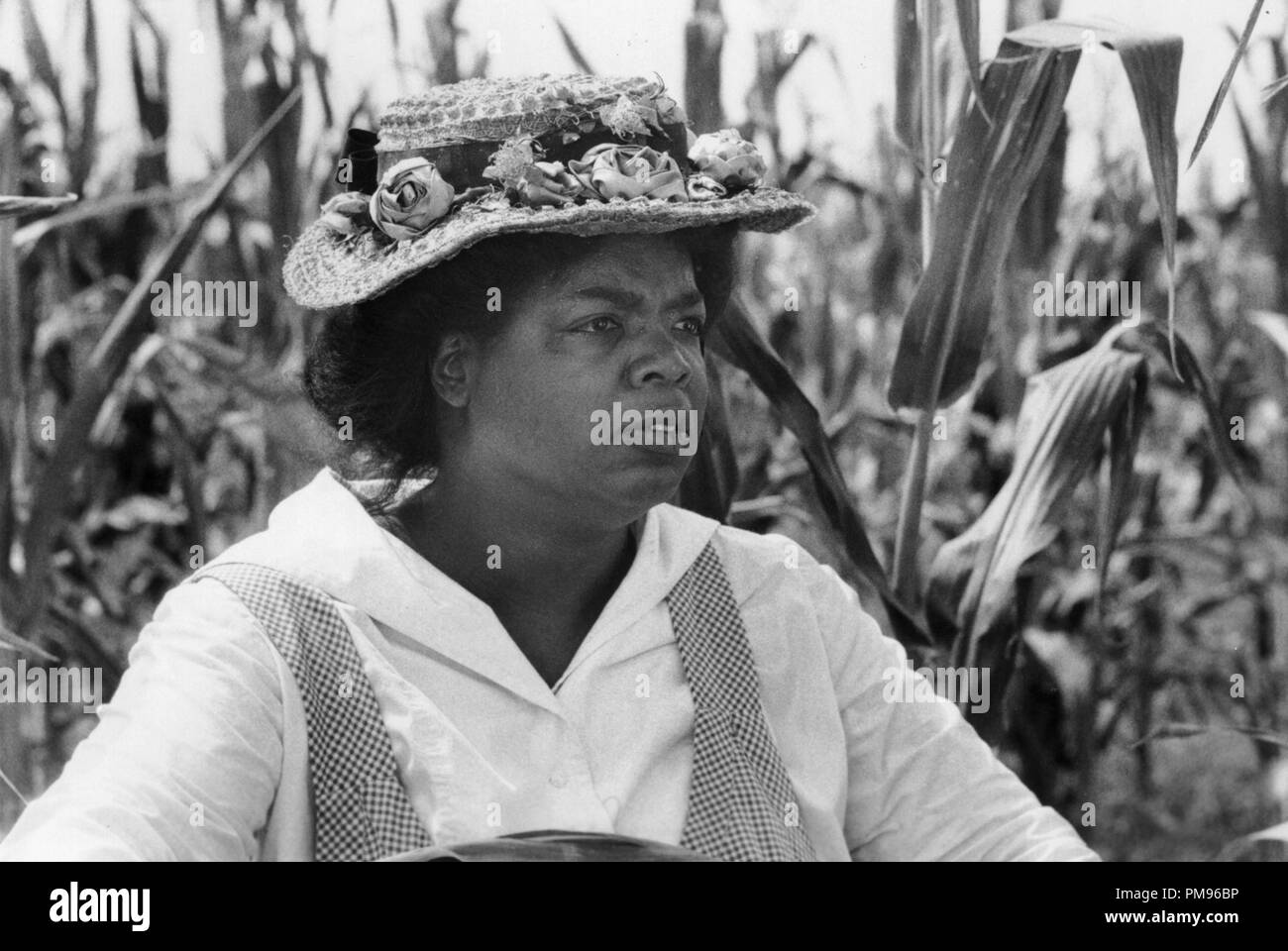 Studio Publicity Still from 'The Color Purple' Oprah Winfrey © 1985 Warner All Rights Reserved   File Reference # 31703071THA  For Editorial Use Only Stock Photo