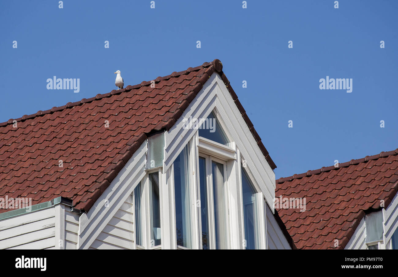 White houses with a gull on the roof in the blue sky closeup Stock Photo