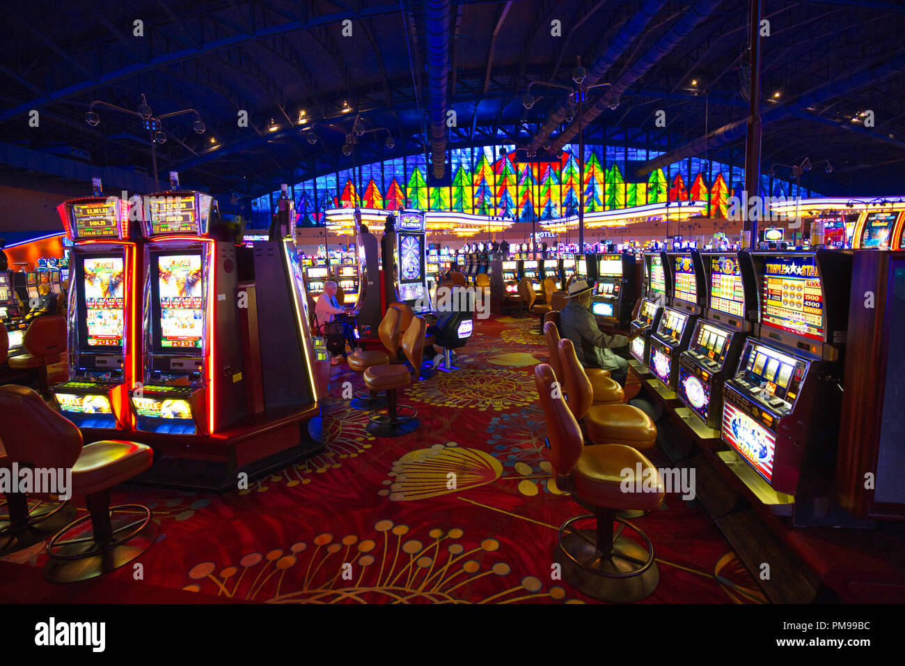 She d spent 0 playing slot machines at Seneca Niagara that night
