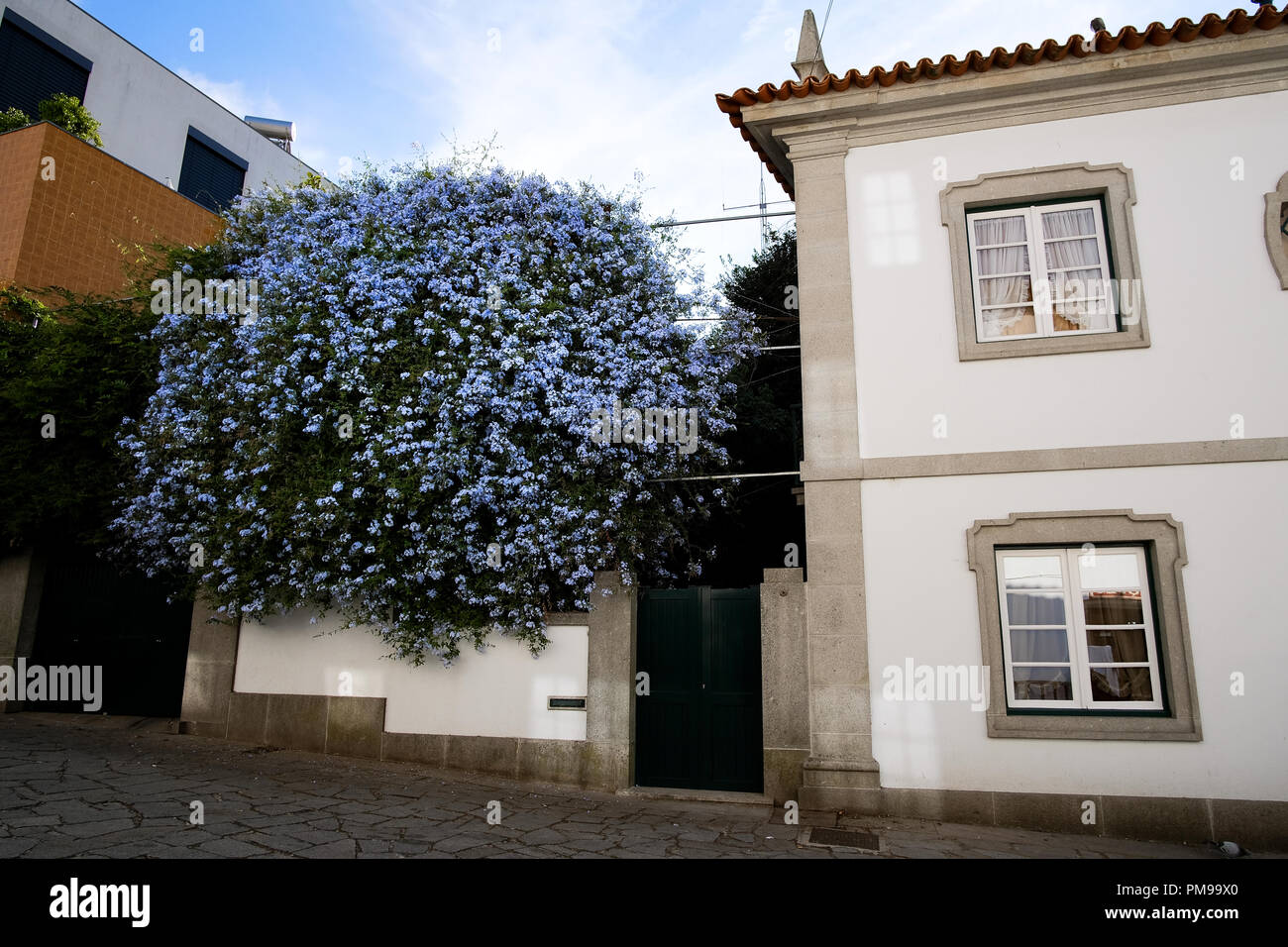 street views of Braga Portugal, where baroque constructions are sided by blooming trees and gardens. Stock Photo
