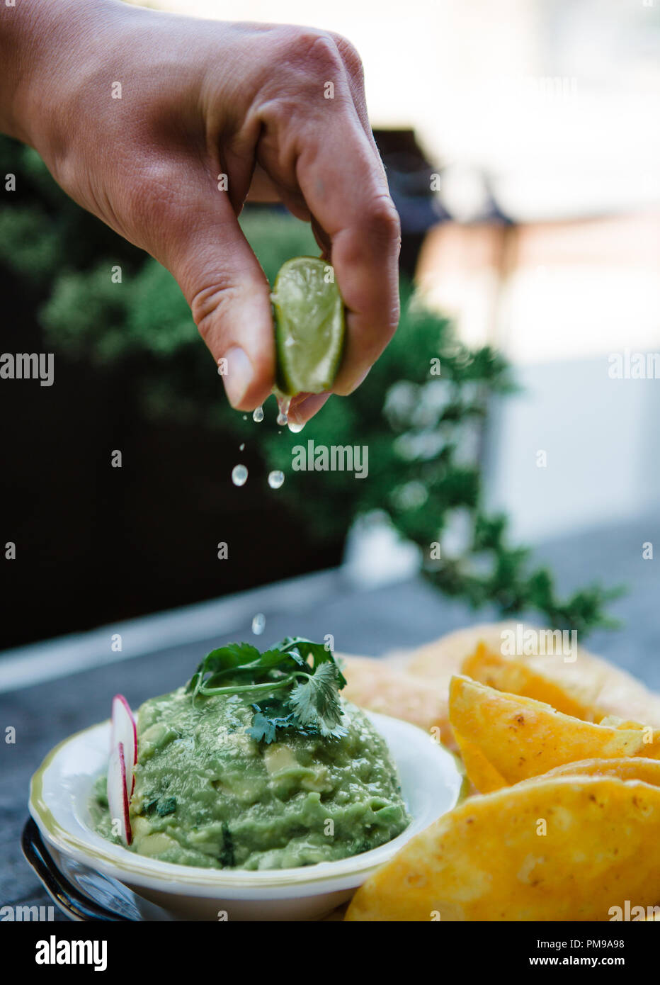 Tex-Mex meets fine dining with custom ceramic plates of traditional tex-mex dishes including tamales, mole, flautas, quesedillas, and nachos. Stock Photo