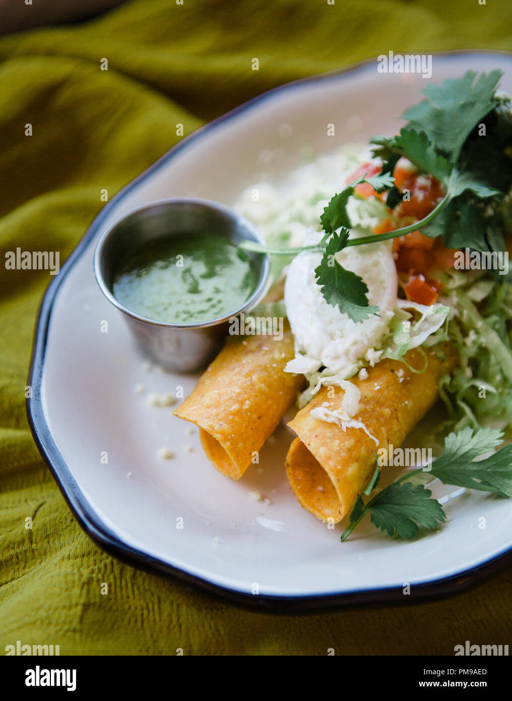 Tex-Mex meets fine dining with custom ceramic plates of traditional tex-mex dishes including tamales, mole, flautas, quesedillas, and nachos. Stock Photo