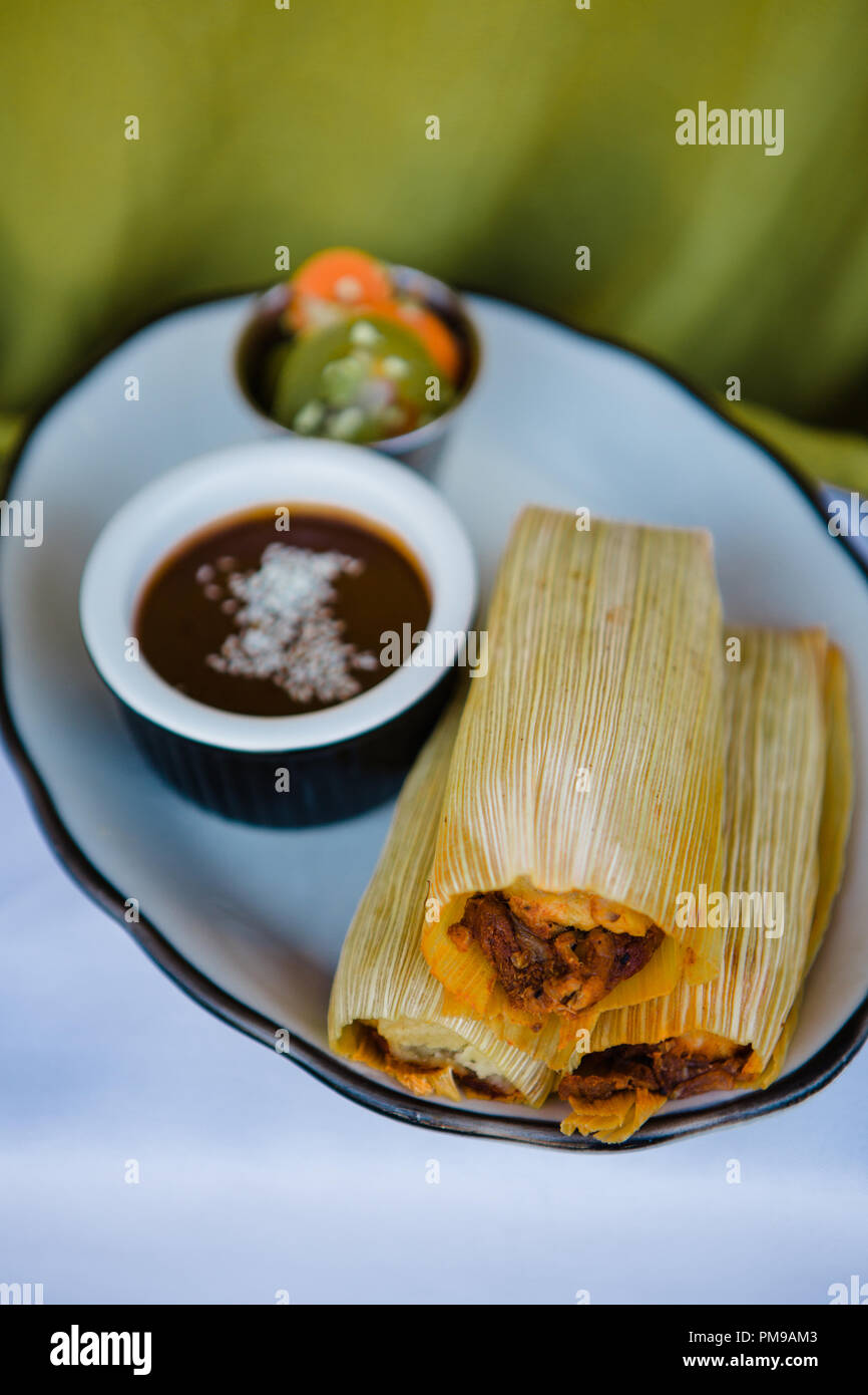 Tex-Mex meets fine dining with custom ceramic plates of traditional tex-mex dishes including tamales, mole, flautas, quesedillas, and nachos. Stock Photo