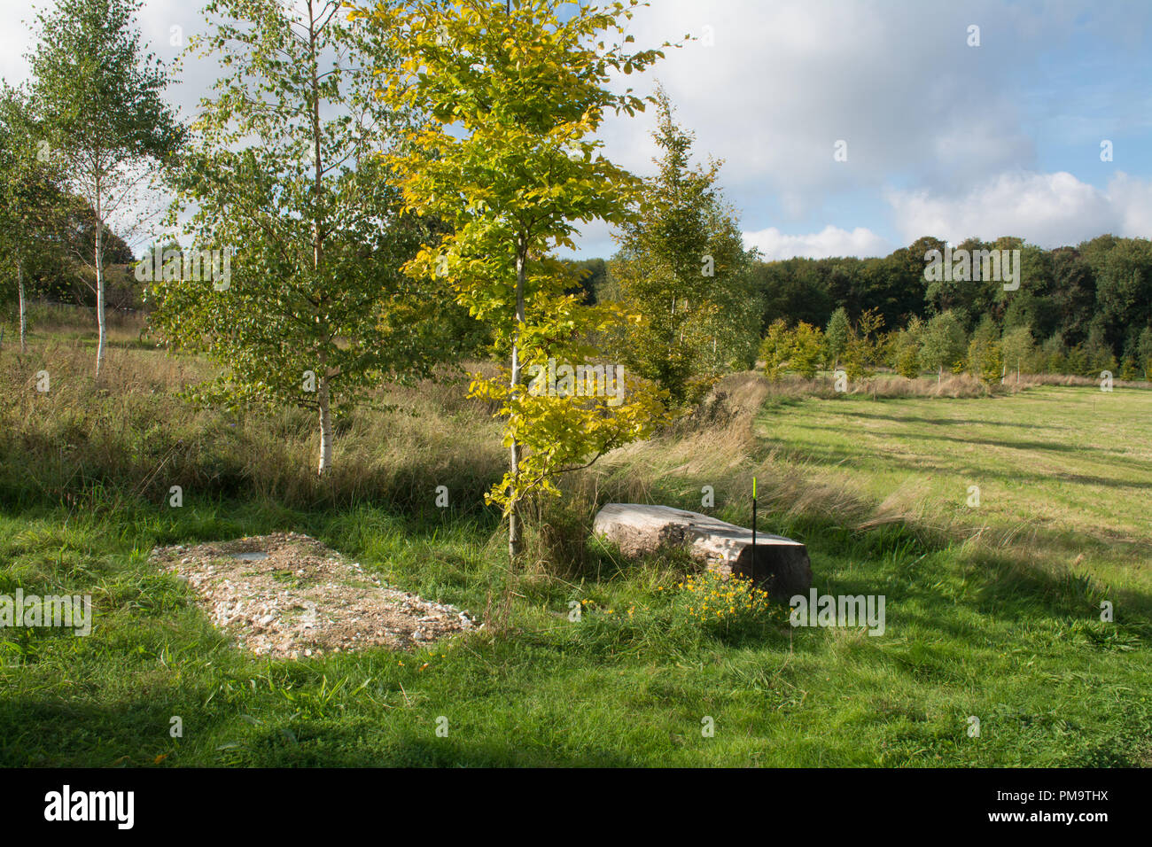 Natural burial ground hires stock photography and images Alamy