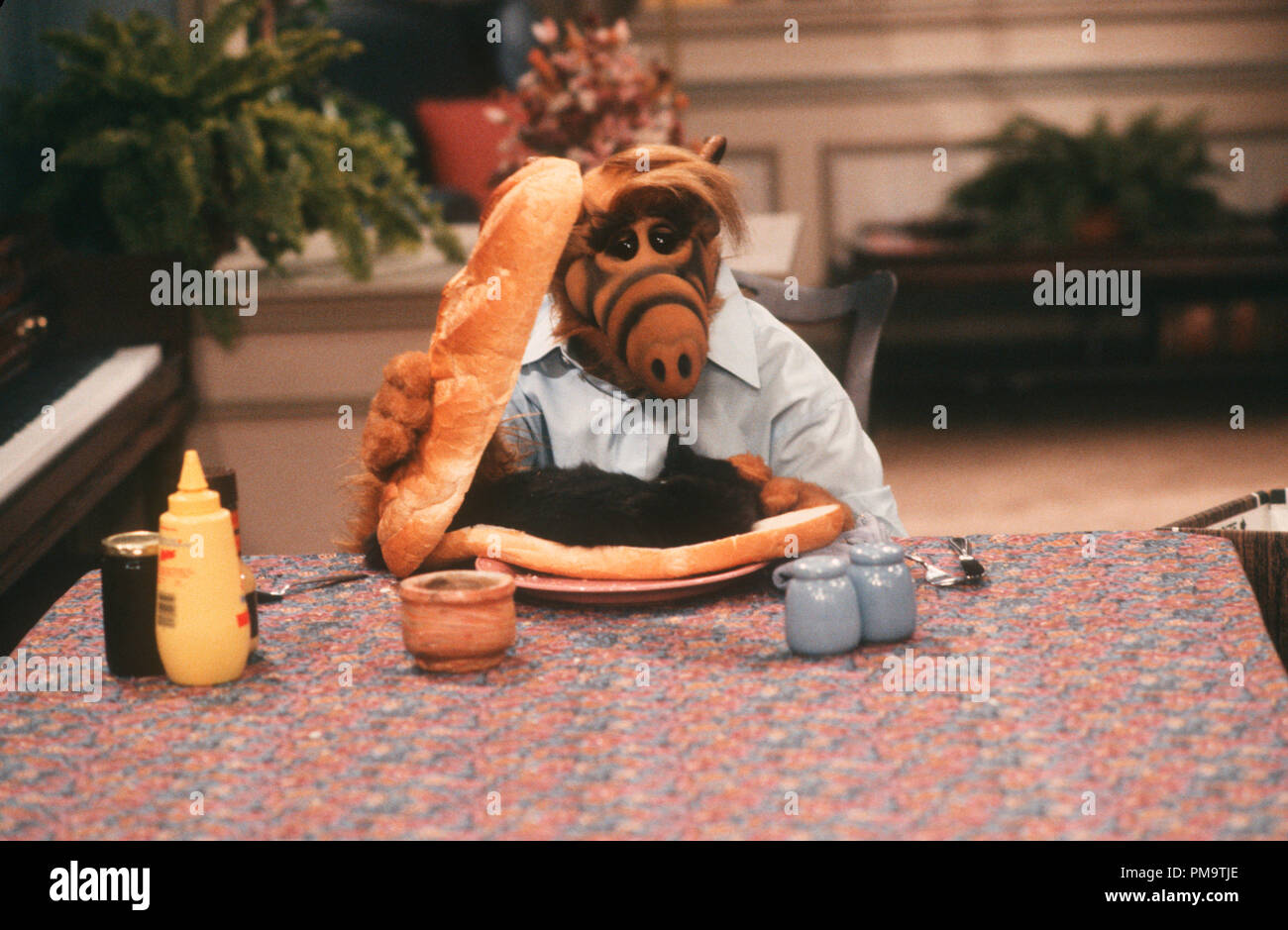 Studio Publicity Still from 'Alf' circa 1988  All Rights Reserved   File Reference # 31694376THA  For Editorial Use Only Stock Photo