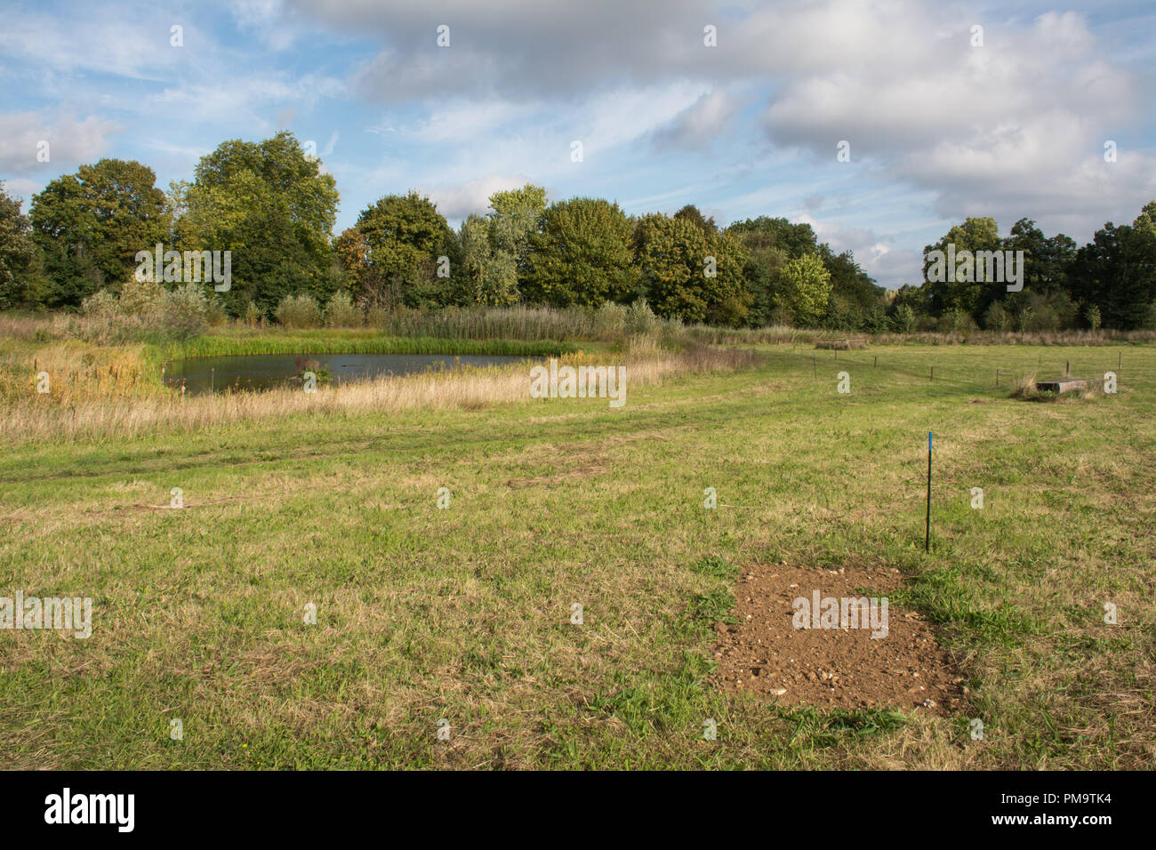 Natural burial ground hires stock photography and images Alamy