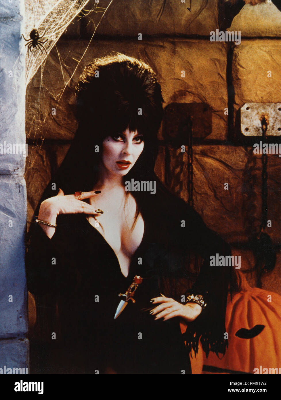 Studio Publicity Still from Cassandra Peterson (Elvira) circa 1987  All Rights Reserved   File Reference # 31697002THA  For Editorial Use Only Stock Photo