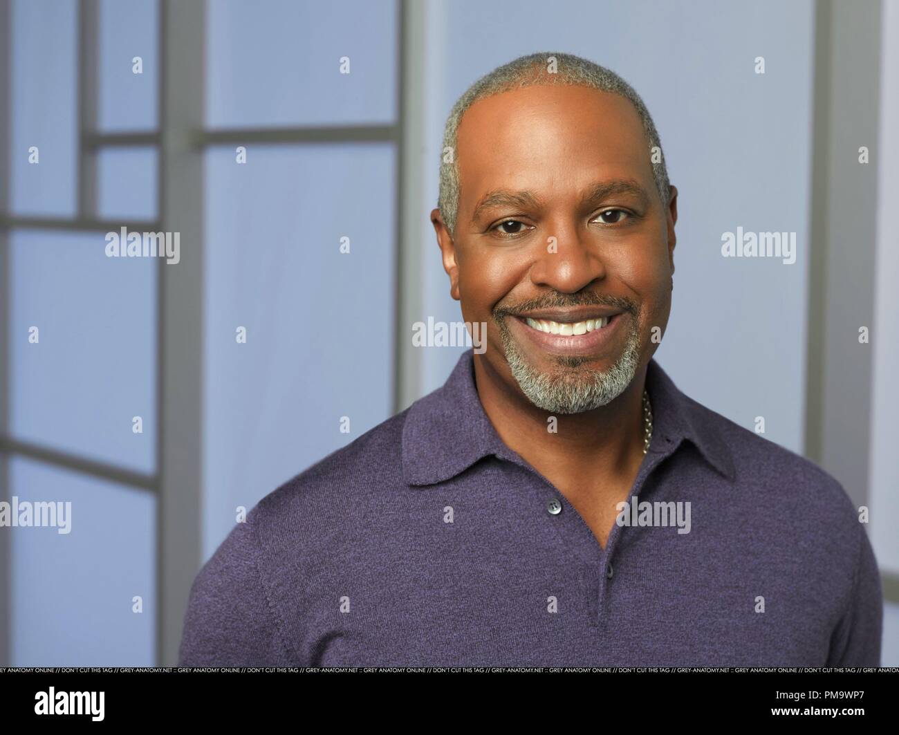 GREY'S ANATOMY ABC's "Grey's Anatomy" stars James Pickens, Jr. as Richard ber Stock Photo