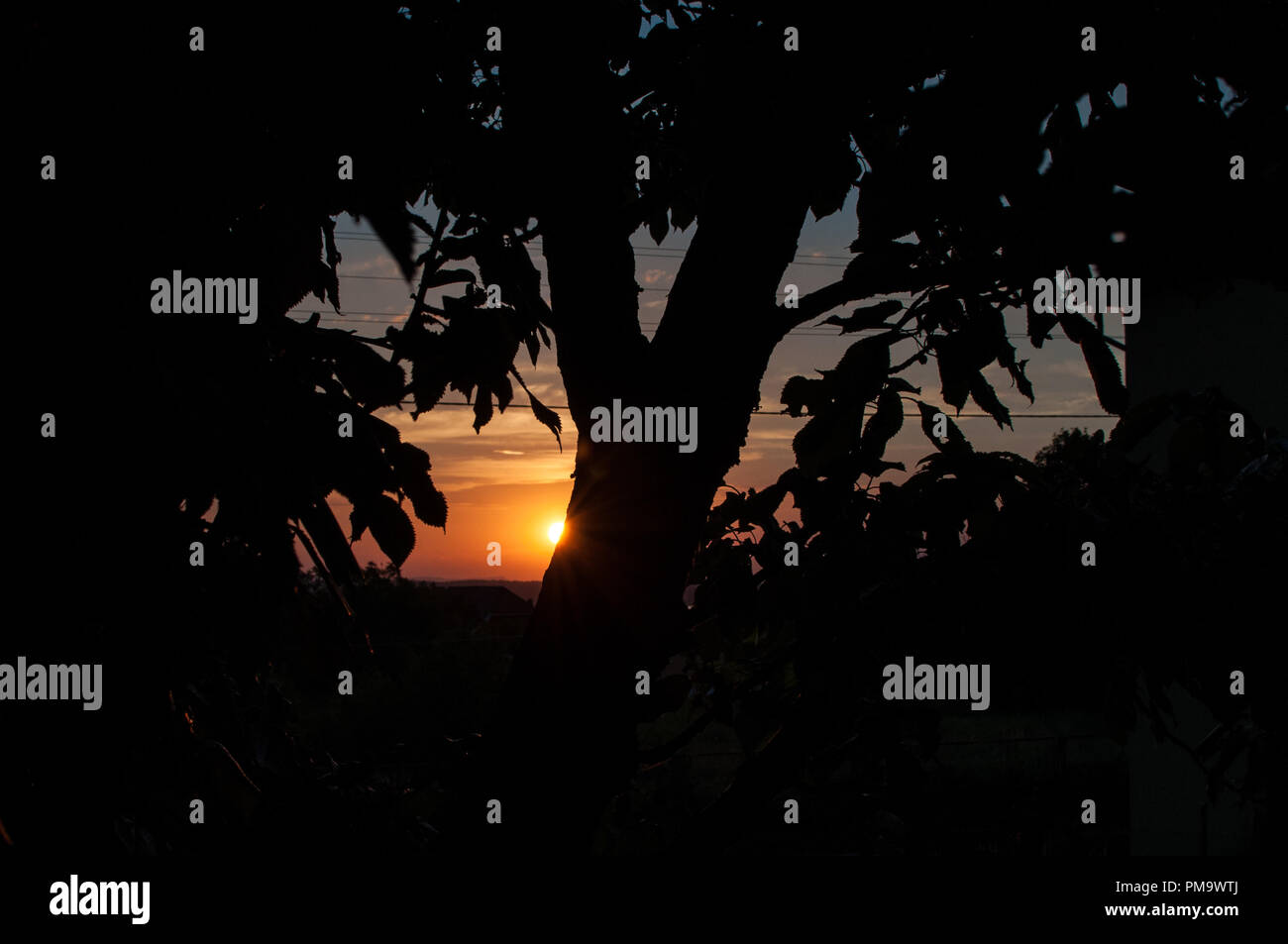 A lovely sunset behind the tree silhouette Stock Photo - Alamy