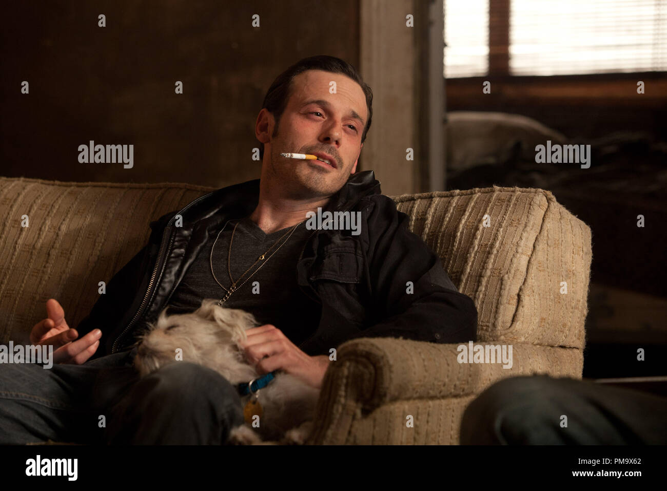 Scoot McNairy as Frankie in KILLING THEM SOFTLY Stock Photo - Alamy
