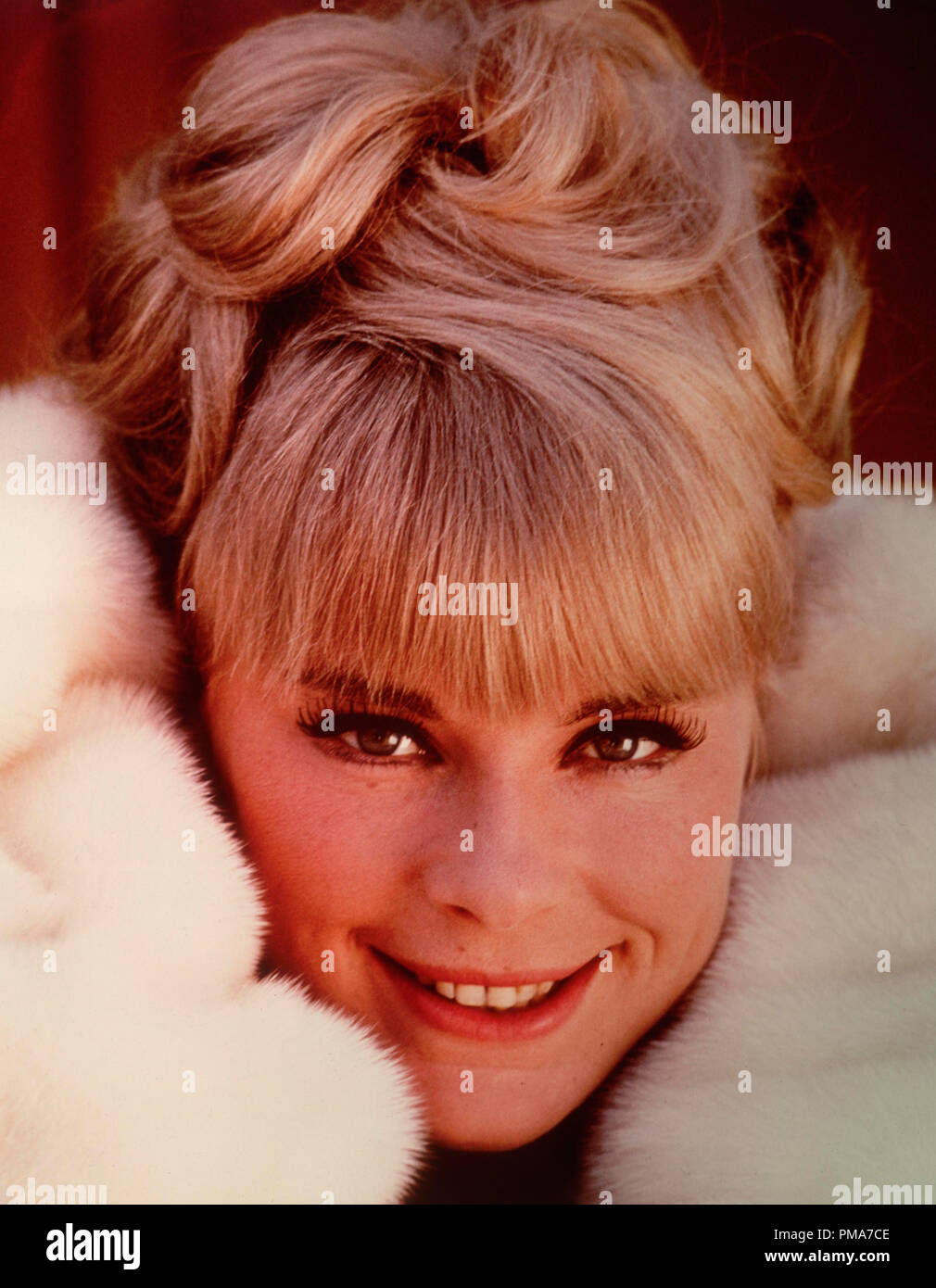 Elke Sommer circa 1967 File Reference # 32263 261THA Stock Photo - Alamy