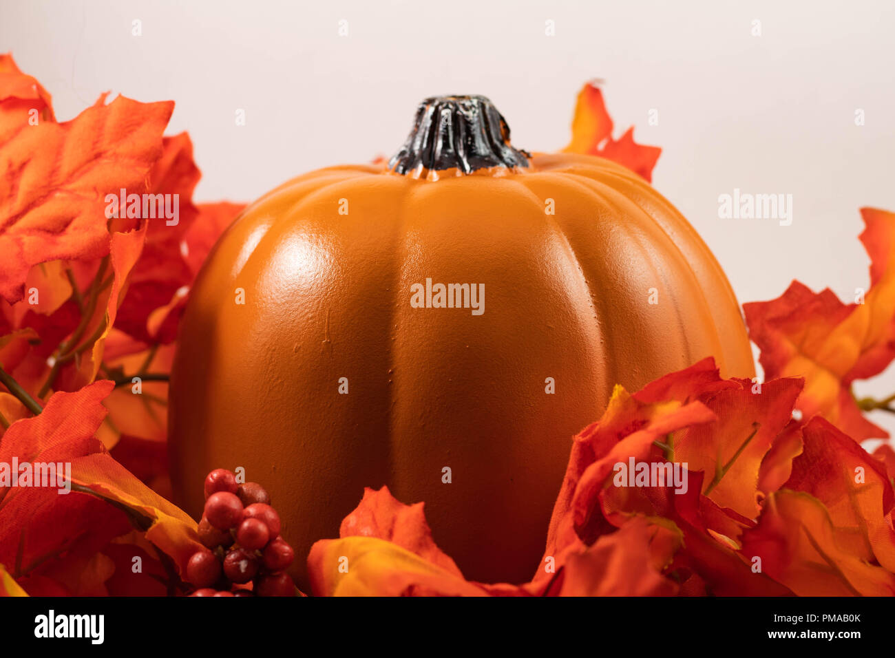 Pumpkin in autumn leaves on white background Stock Photo - Alamy