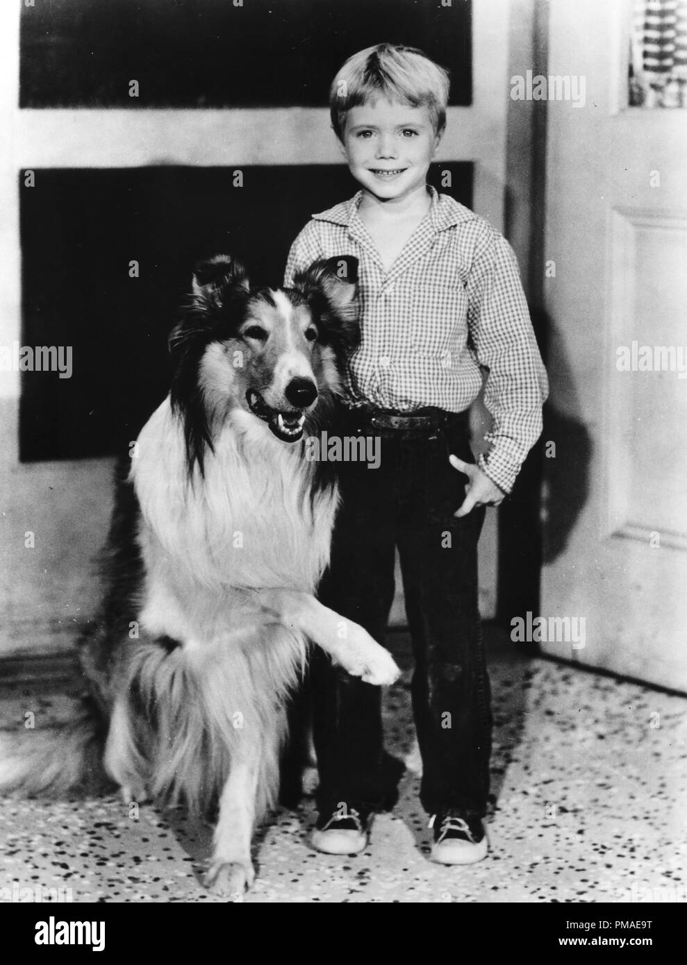 Jon Provost, 'Timmy and Lassie', circa 1954  File Reference # 32509 704THA Stock Photo