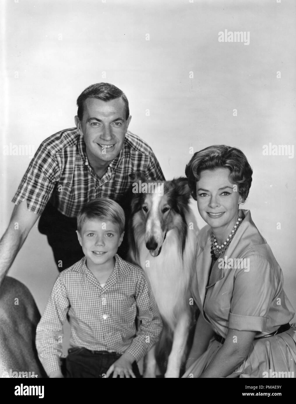 Jon Provost, Hugh Reilly, June Lockhart, 'Timmy and Lassie', circa 1954  File Reference # 32509 706THA Stock Photo