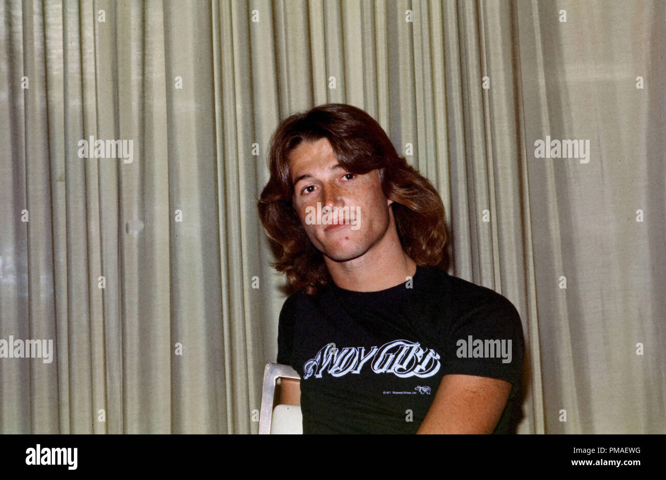 Andy Gibb circa 1976 © JRC /The Hollywood Archive - All Rights Reserved File Reference # 32633 030JRC Stock Photo