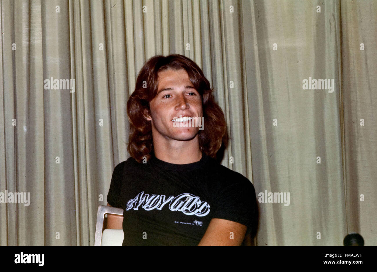 Andy Gibb circa 1976 © JRC /The Hollywood Archive - All Rights Reserved File Reference # 32633 031JRC Stock Photo