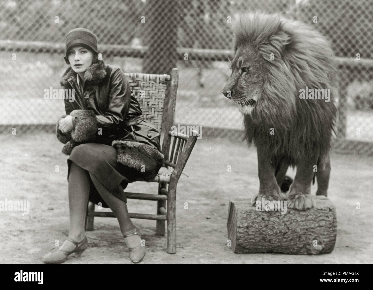 Publicity photo of Greta Garbo and Leo, the lion mascot for MGM studios, circa 1926 File Reference # 32733 287THA Stock Photo