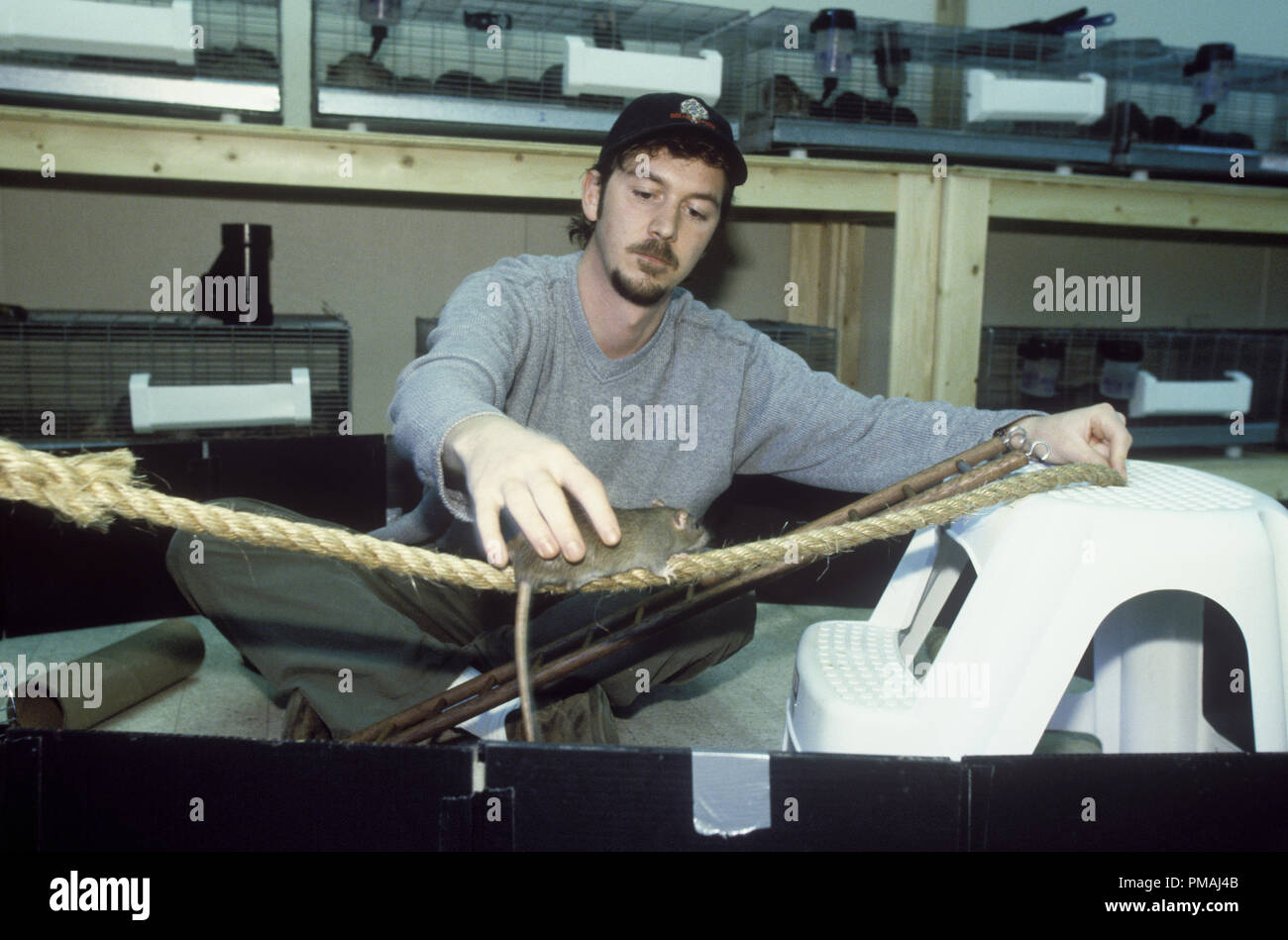 Film set animal trainer hires stock photography and images Alamy