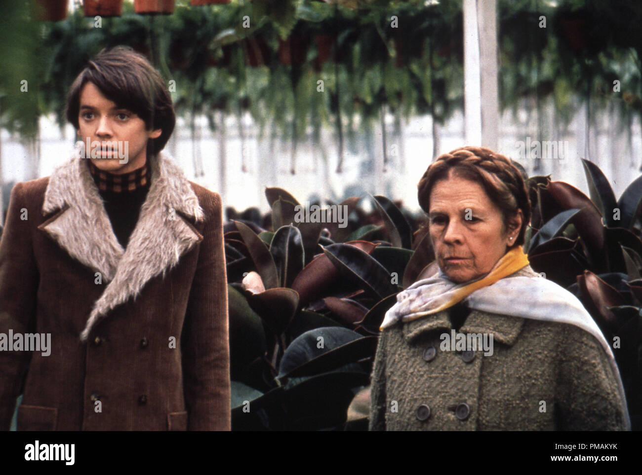 Bud Cort, Ruth Gordon, 'Harold and Maude' (1971) Paramount Pictures   File Reference # 33300 792THA Stock Photo