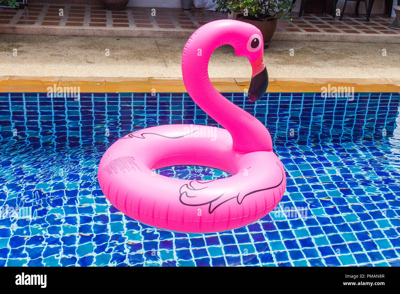 Flamingo flotation device in swimming pool Stock Photo Alamy