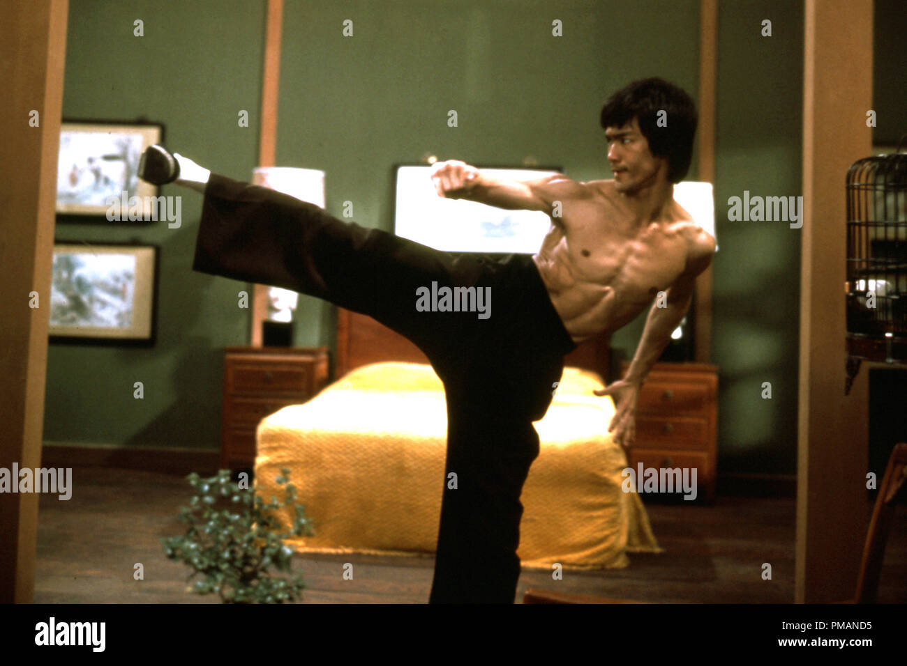 bruce lee bruce lee cinema