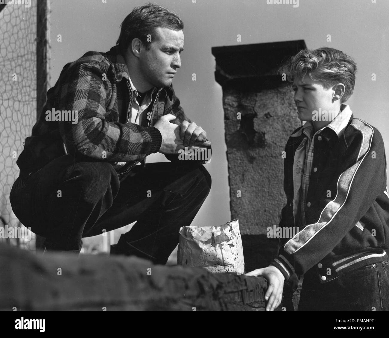 Studio Publicity Still: 'On the Waterfront'  Marlon Brando  1954 Columbia   File Reference # 32039 182THA Stock Photo