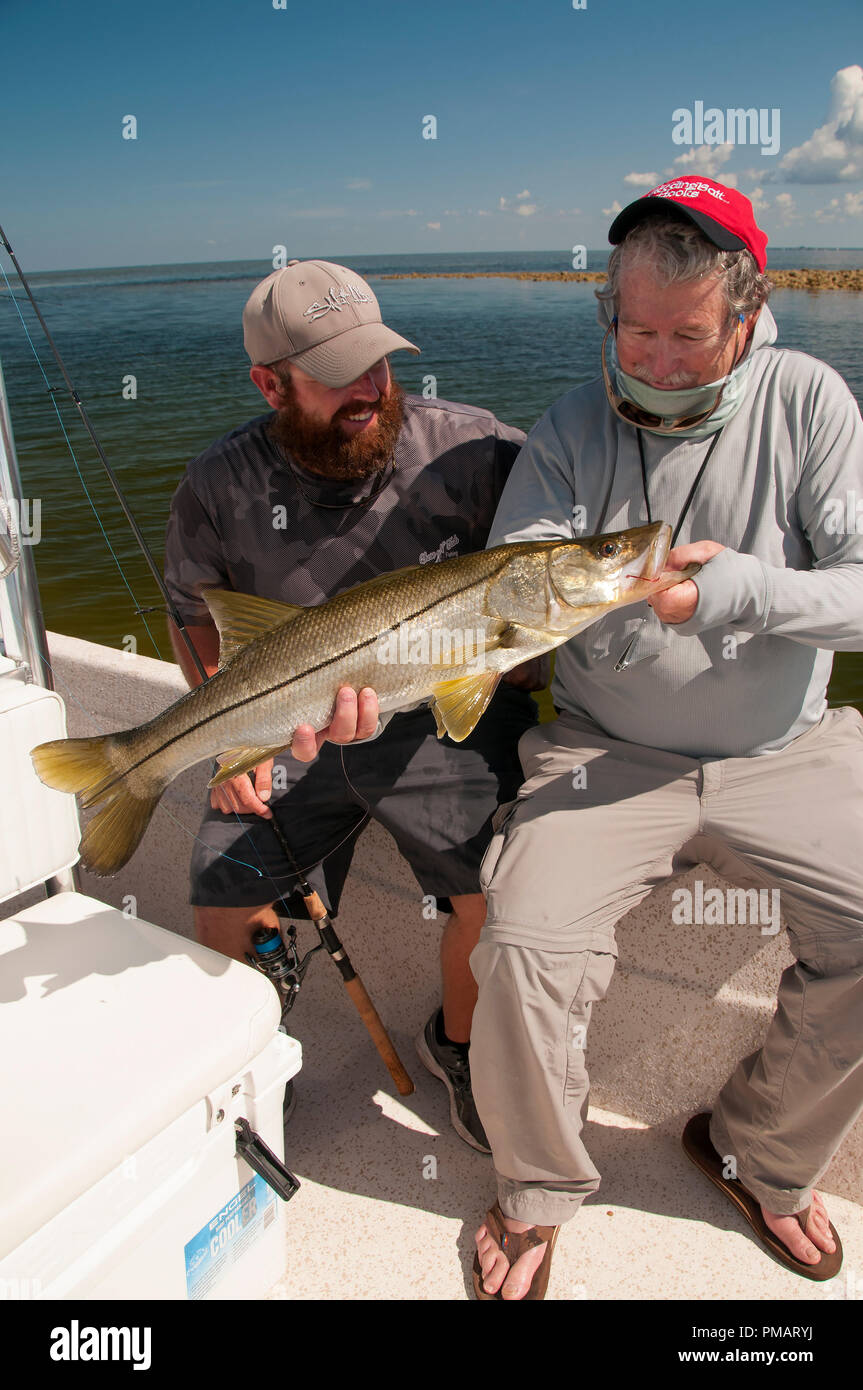 Big snook are an abundant species in the Gult all the way up to