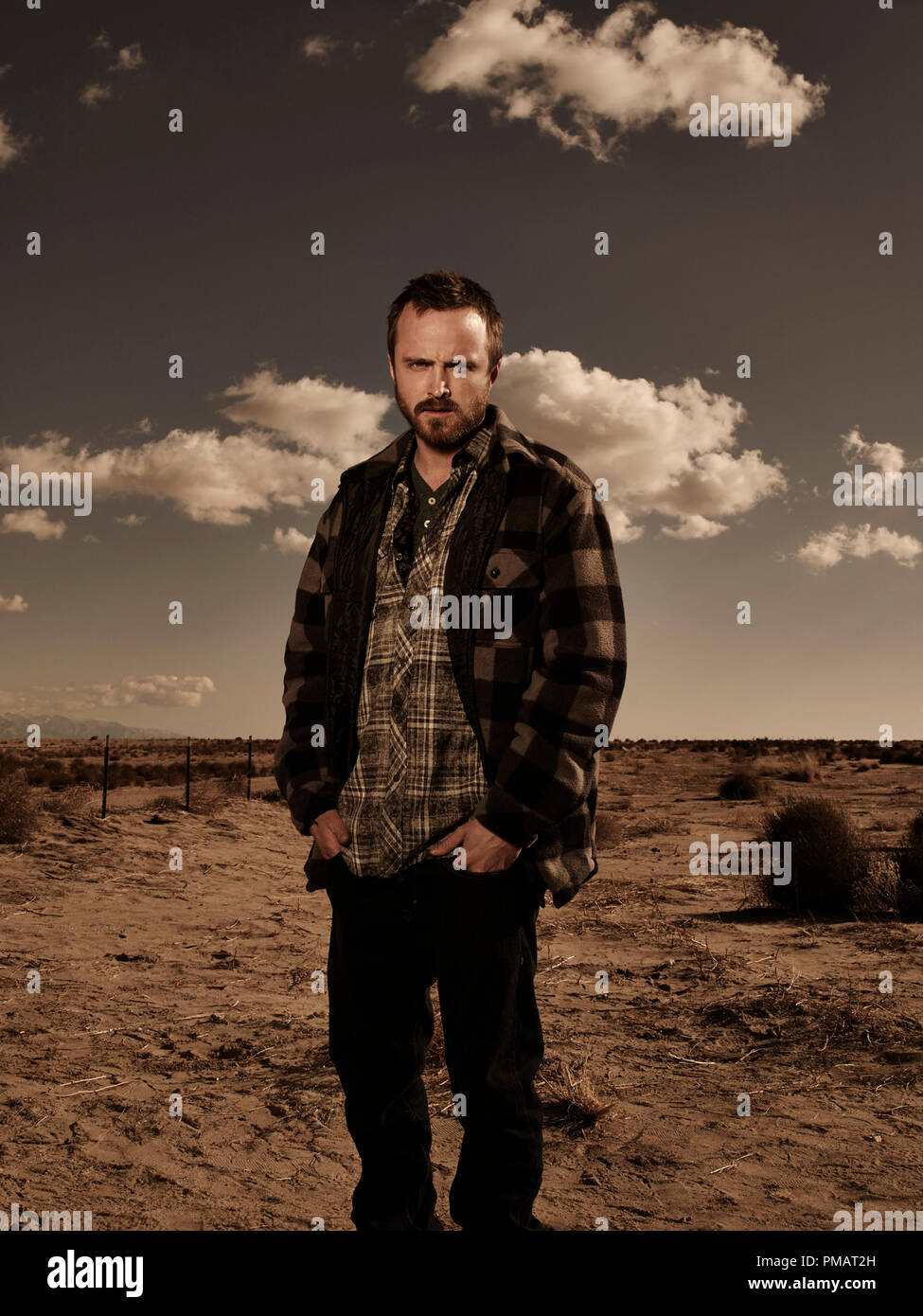 Jesse Pinkman Aaron Paul Breaking Bad Season 5b Gallery Photo Credit Frank Ockenfels 3 Amc Stock Photo Alamy