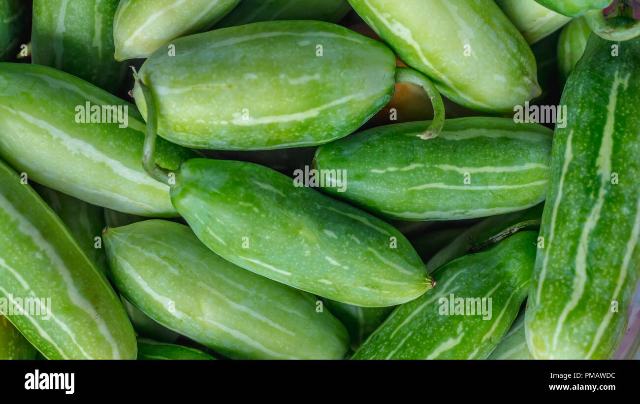 stack of green fresh organic coccinia. agricultural and fresh market background Stock Photo