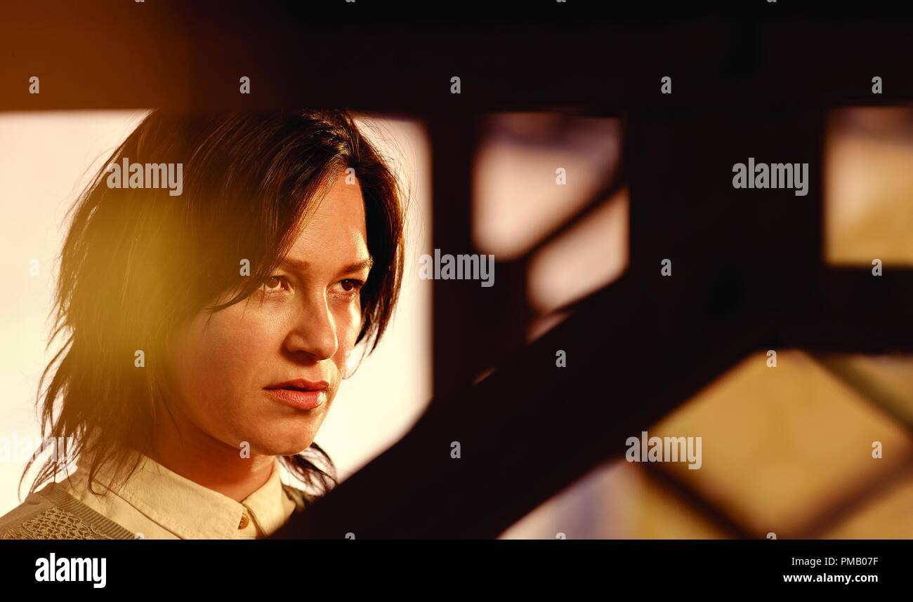 THE BRIDGE Pictured Franka Potente as Eleanor Nacht CR Kurt THE BRIDGE Pictured Franka Potente as Eleanor Nacht CR Kurt