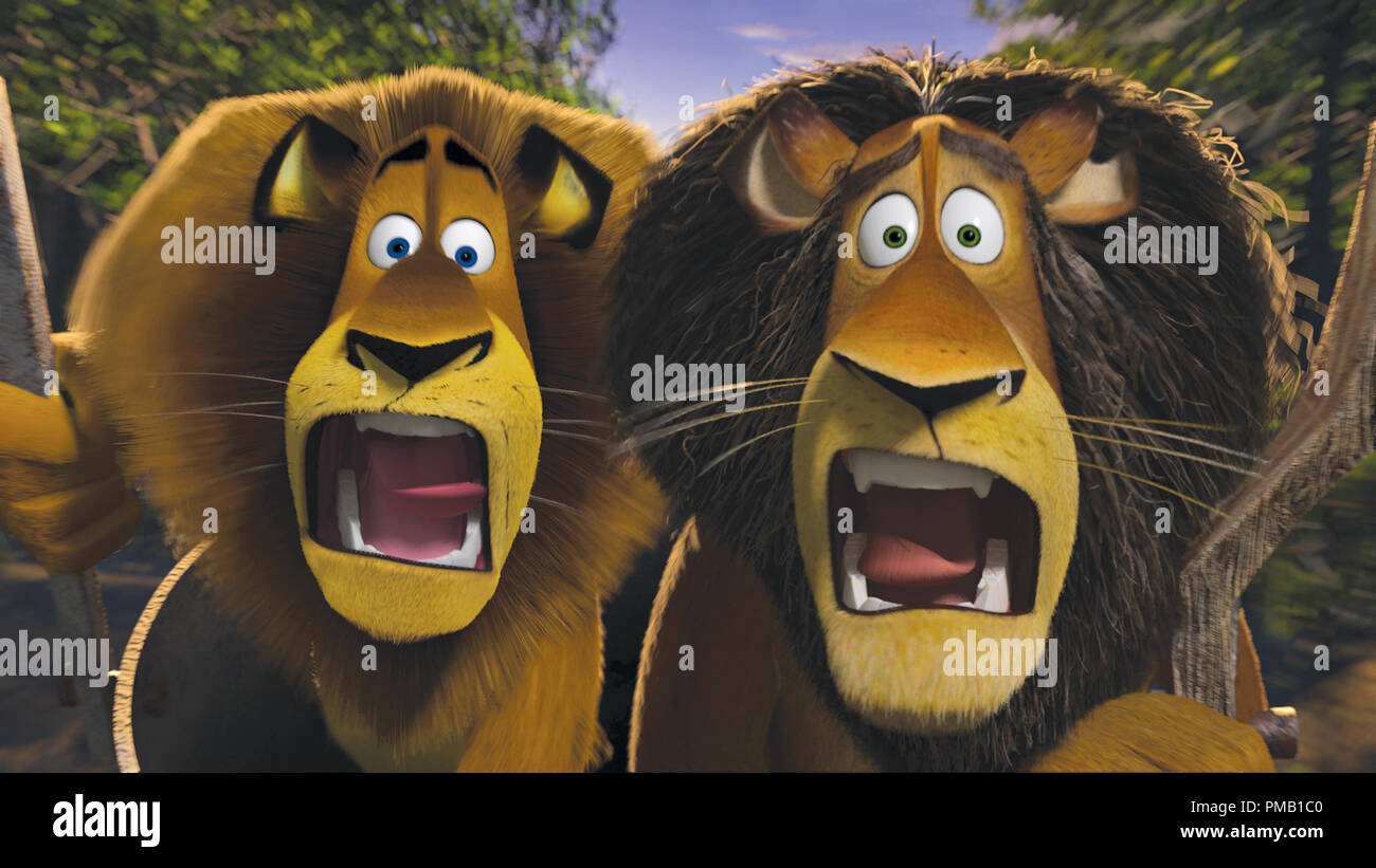 Like father, like son: Alex the lion (left, BEN STILLER) and his father, alpha lion Zuba (right, BERNIE MAC) share a family resemblance and an astounding moment in DreamWorks’ “Madagascar: Escape 2 Africa.”   'Madagascar: Escape 2 Africa' (2008) DreamWorks Animation L.L.C Stock Photo