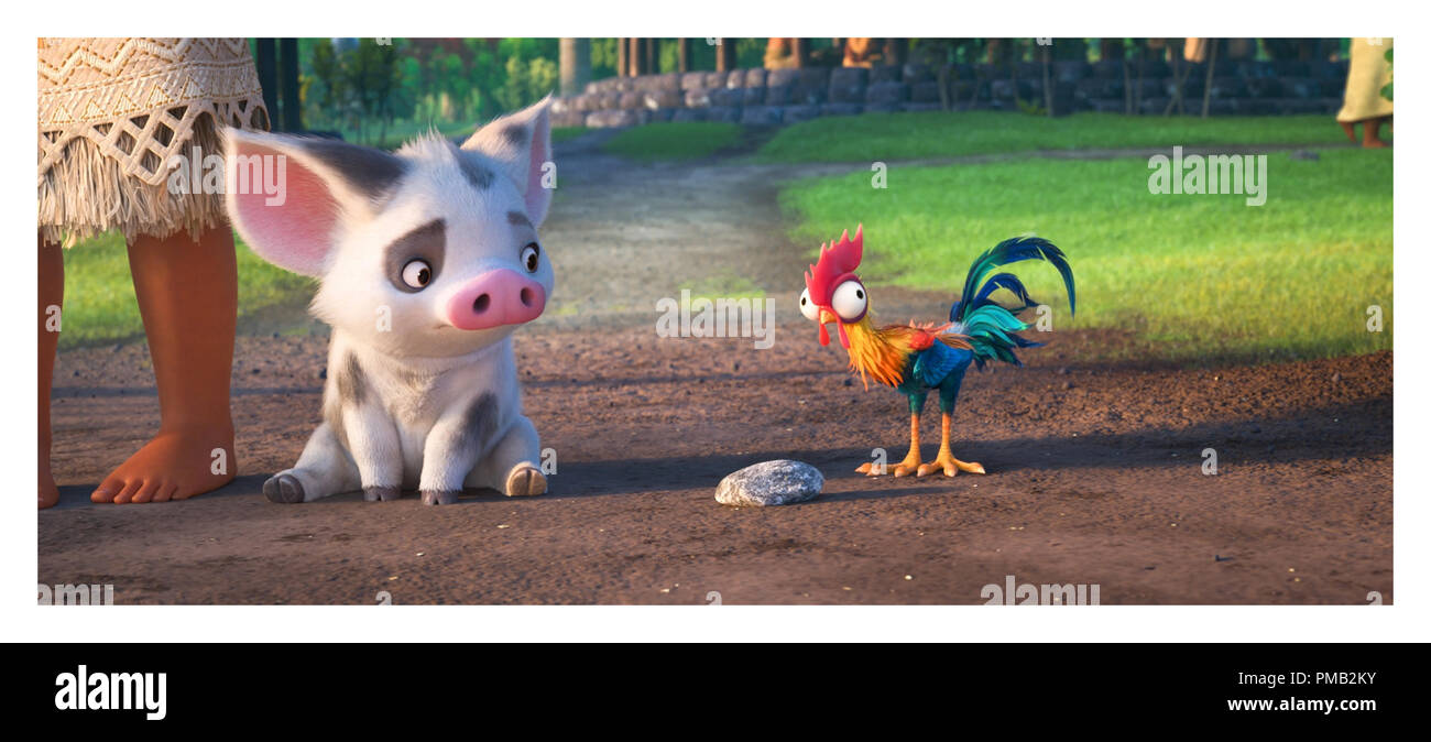 https://c8.alamy.com/comp/PMB2KY/moana-2016-disney-pictured-pua-and-hei-hei-PMB2KY.jpg