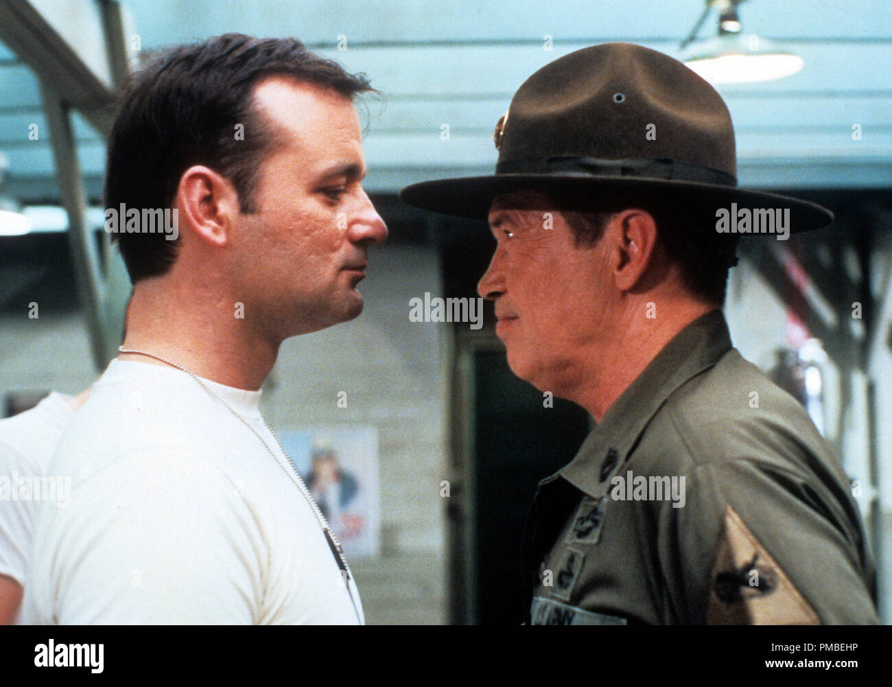 Bill Murray Stripes Quotes