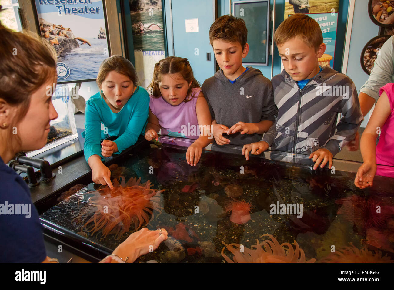 Kids at the Alaska SeaLife Center.  Seward, Alaska. Stock Photo