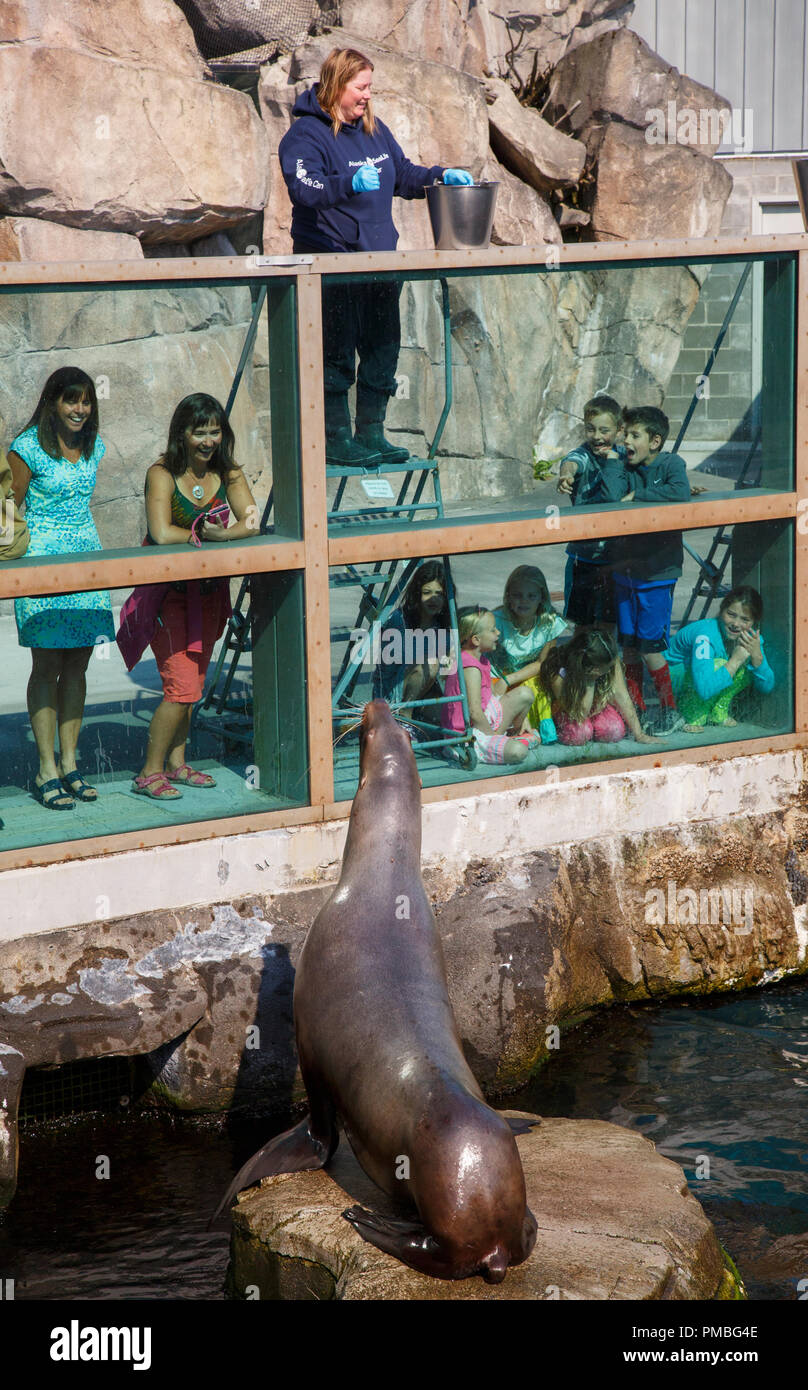Seward aquarium hi-res stock photography and images - Alamy