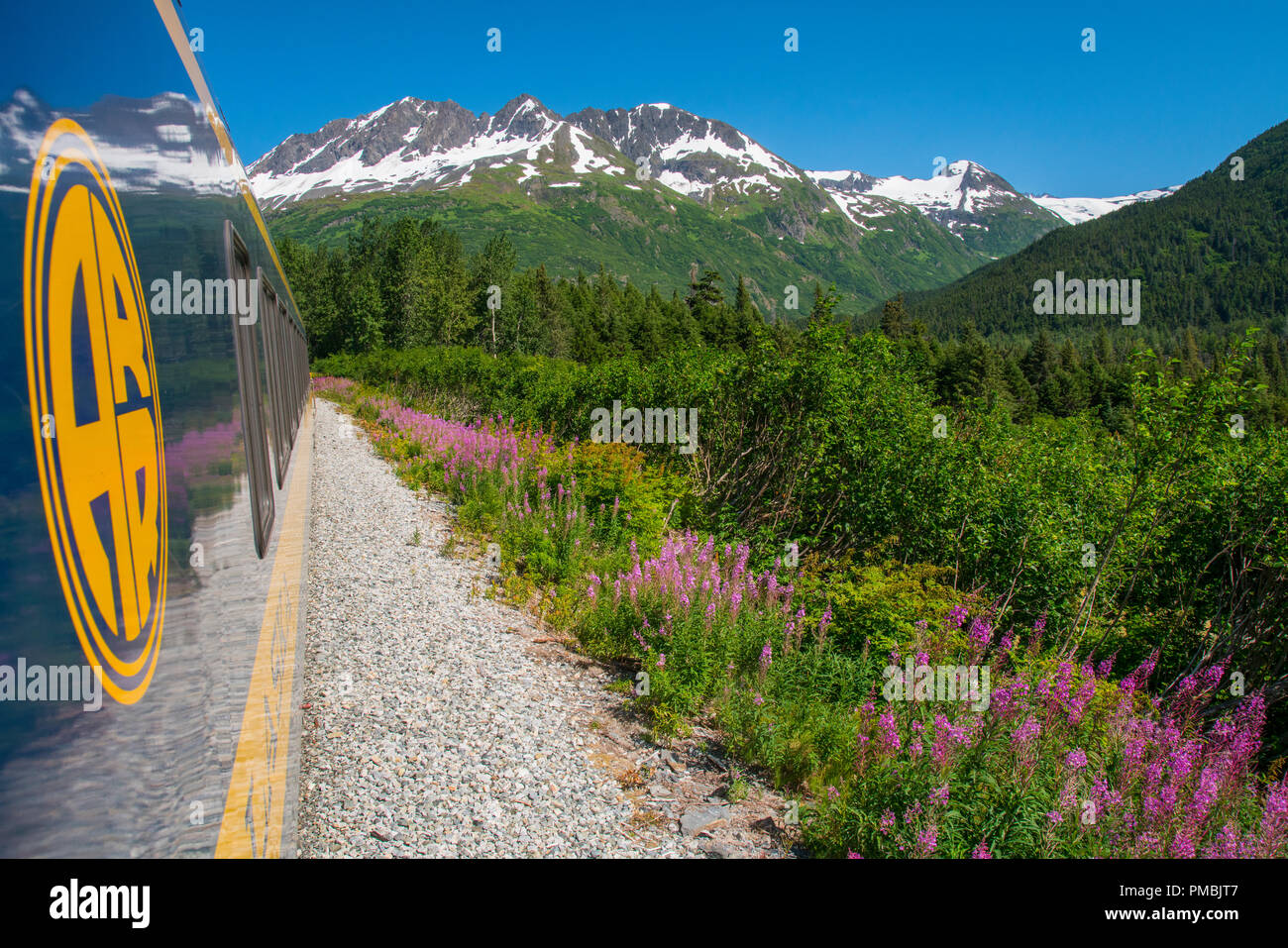 Alaska Railroad Glacier Discovery train trip,  Chugach National Forest, Alaska. Stock Photo