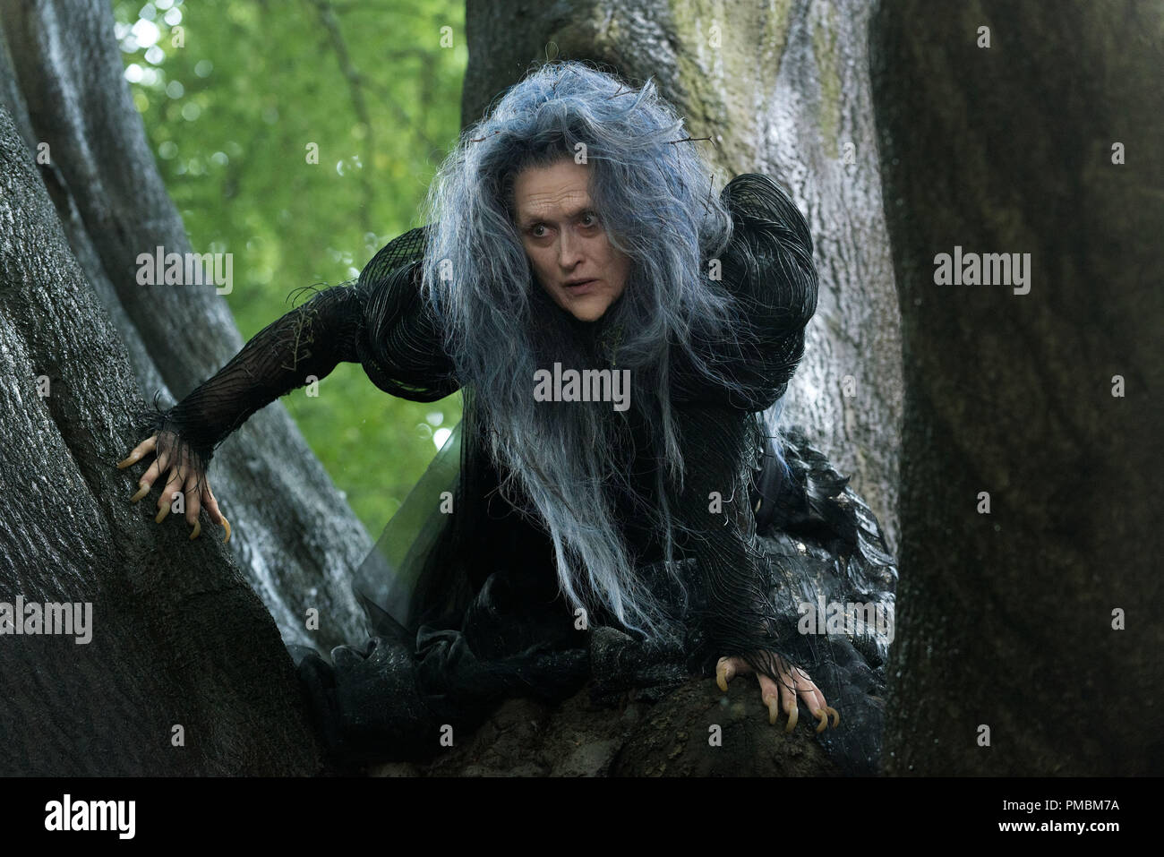 Meryl Streep ventures 'Into the Woods' as the Witch who wishes to reverse a curse so that her beauty may be restored. Stock Photo