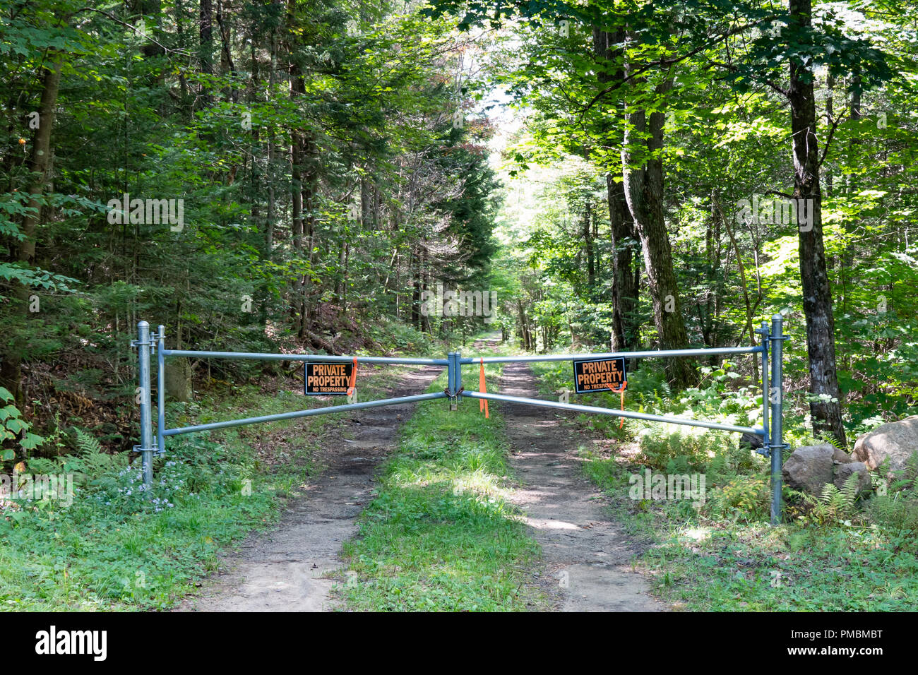 A locked metal gate on a forest road leading to private property in the Adirondack Mountains, NY, USA Stock Photo