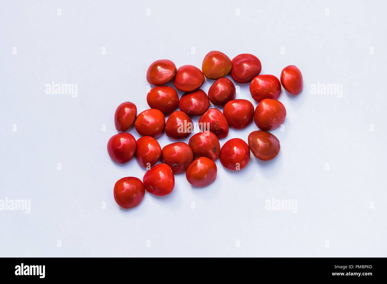 Red Lucky Seeds Stock Photo