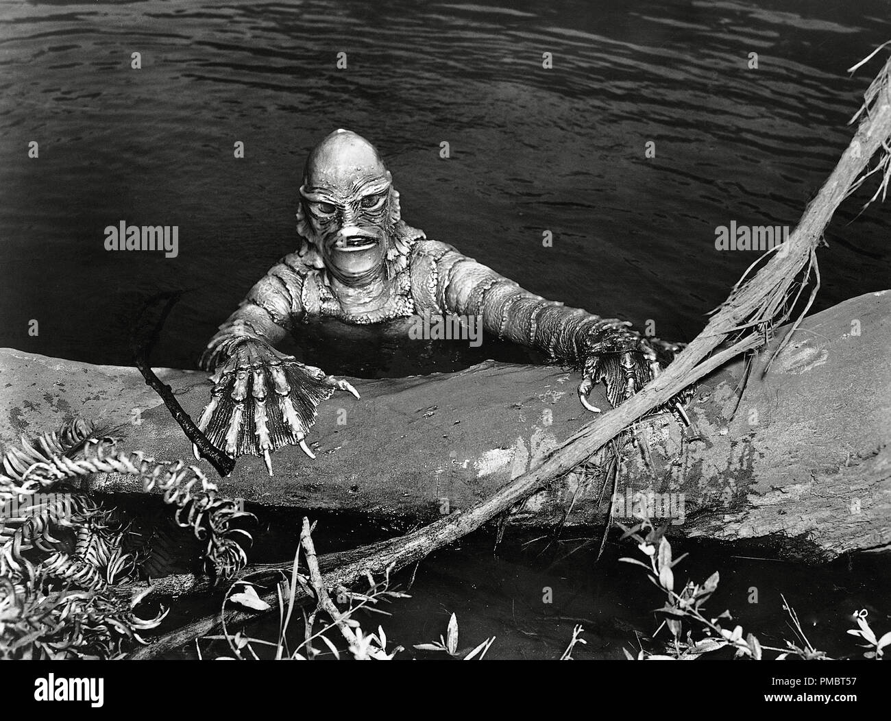 'Creature from the Black Lagoon' 1954 Universal   File Reference # 32914 288THA Stock Photo
