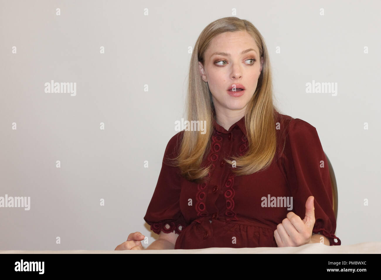 Amanda Seyfried at "The Last Word" Press Conference held on March 3