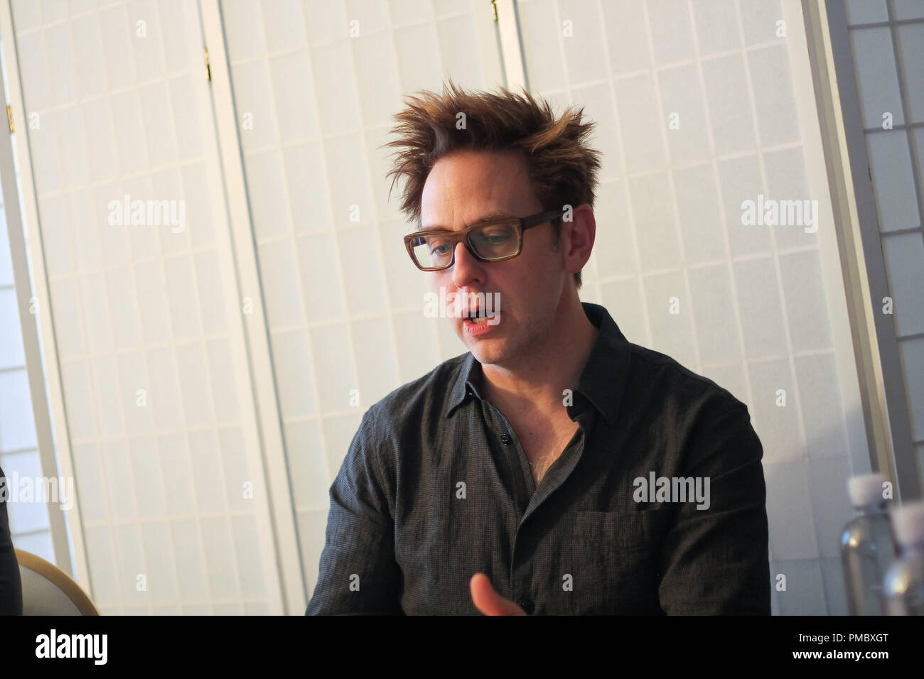 Director James Gunn at 'Guardians of the Galaxy Vol. 2' Press Conference held on April 20, 2017 at the London Hotel in West Hollywood,  California. No Tabloids. No USA sales for 30 days of origination.  File Reference # 33297 017JRC  For Editorial Use Only -  All Rights Reserved Stock Photo