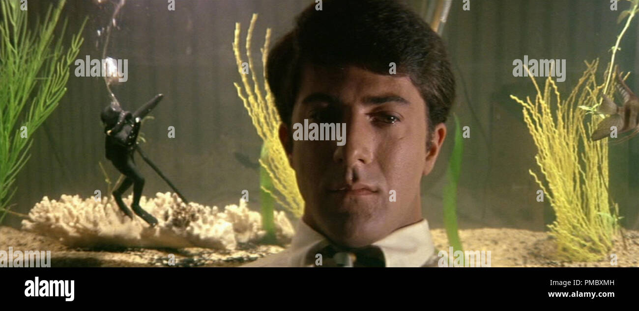Dustin Hoffman, “The Graduate” (1967) AVCO Embassy/ Rialto Pictures