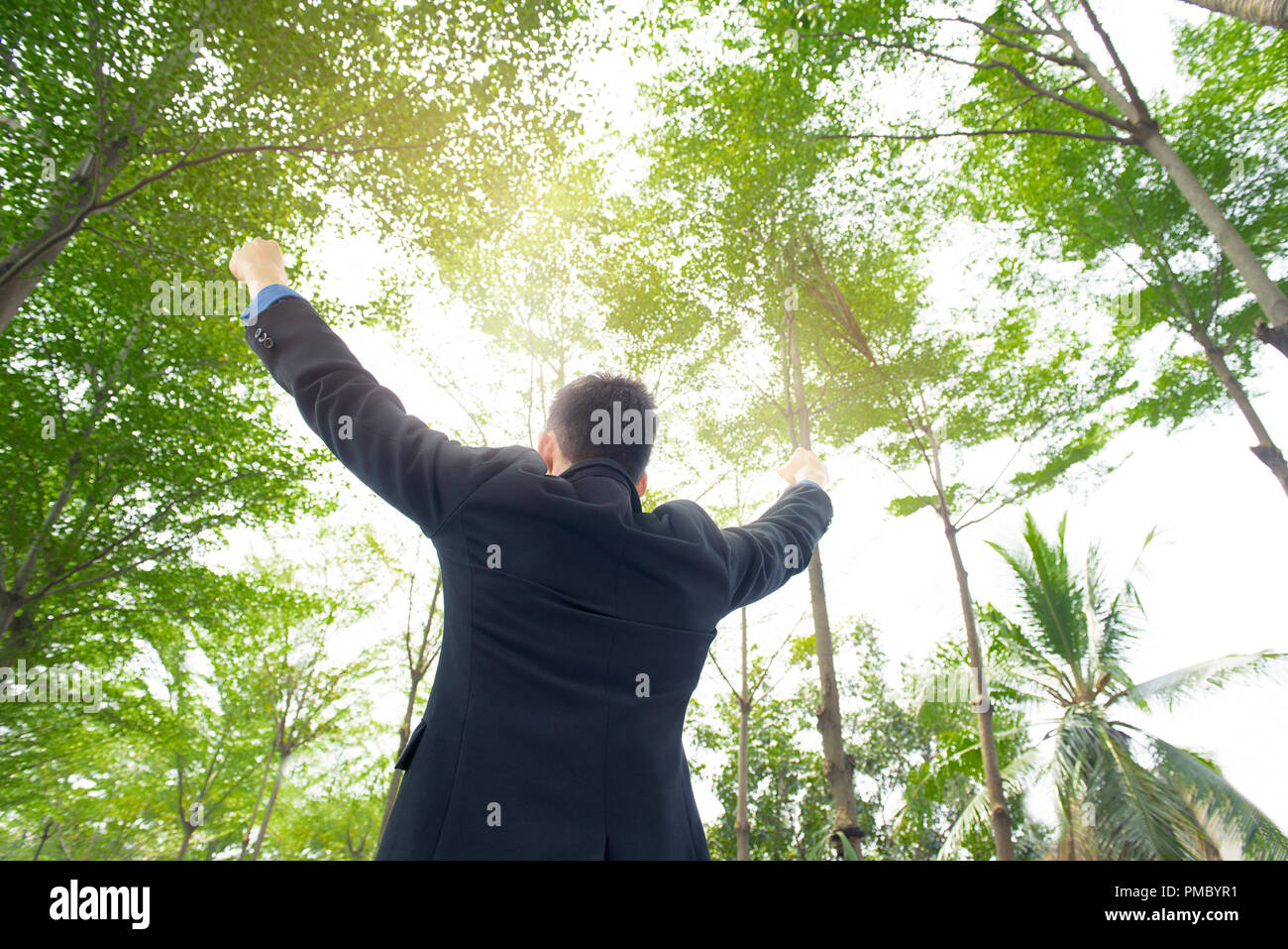 Excited businessman happy work hi-res stock photography and images - Alamy