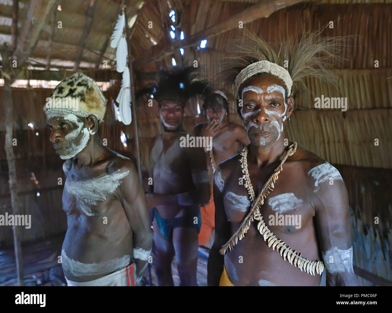 Api Asmat Portrait of a man from the tribe of Asmat people. Asmat people village ...