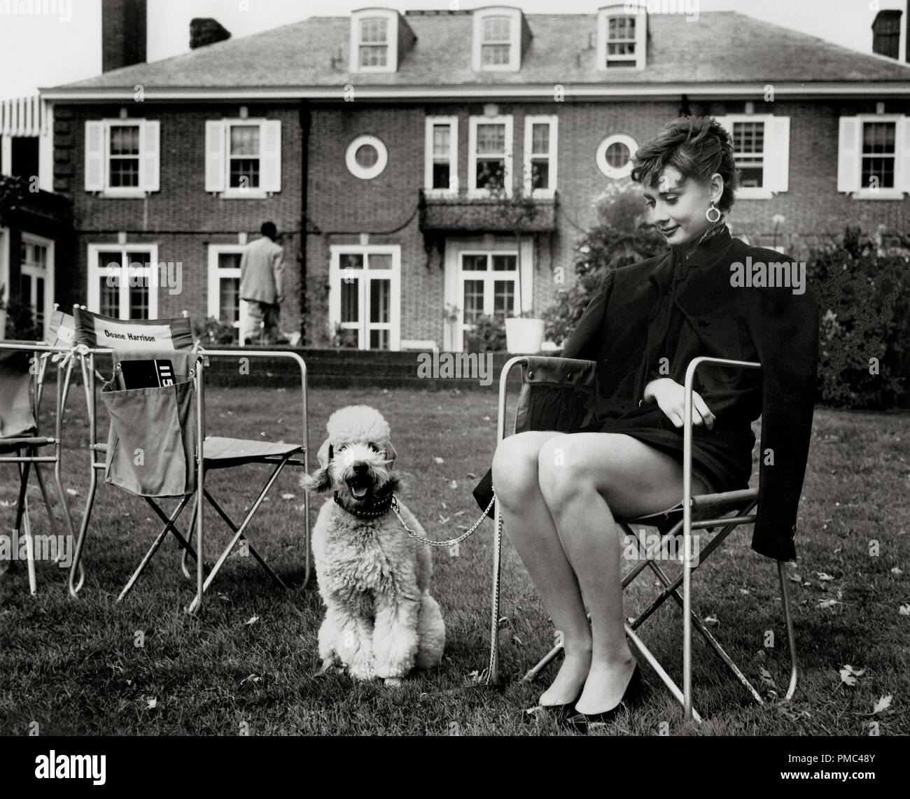 Audrey Hepburn during the filming of "Sabrina", 1954 Paramount Pictures File Reference # 33536_221THA Stock Photo
