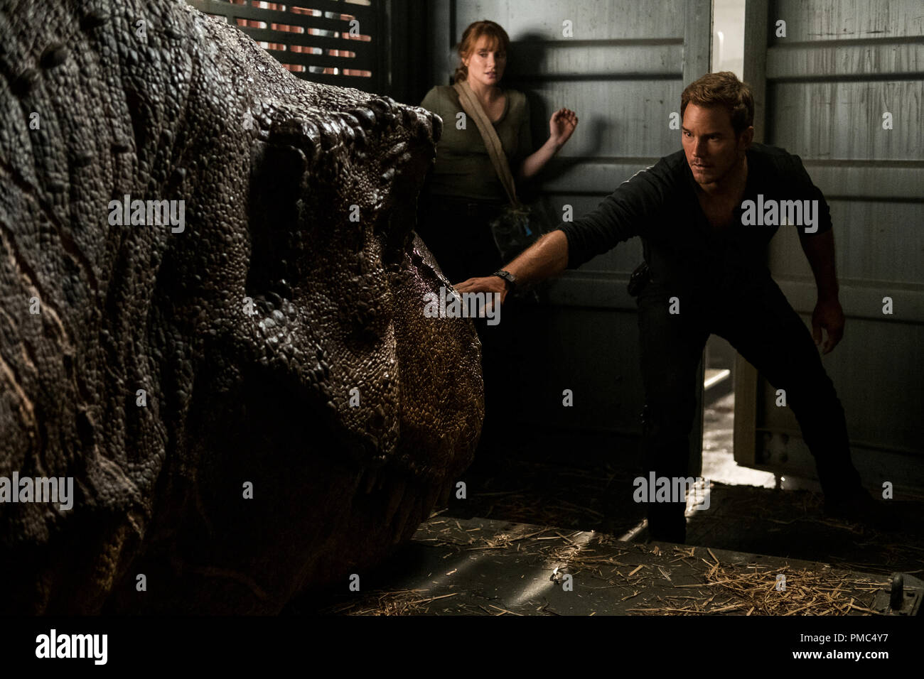 Claire (BRYCE DALLAS HOWARD) and Owen (CHRIS PRATT) try not to wake the mighty T. rex in 'Jurassic World: Fallen Kingdom.'  When the island's dormant volcano begins roaring to life, Owen and Claire mount a campaign to rescue the remaining dinosaurs from this extinction-level event.  Welcome to 'Jurassic World: Fallen Kingdom.' (2018) Universal Stock Photo