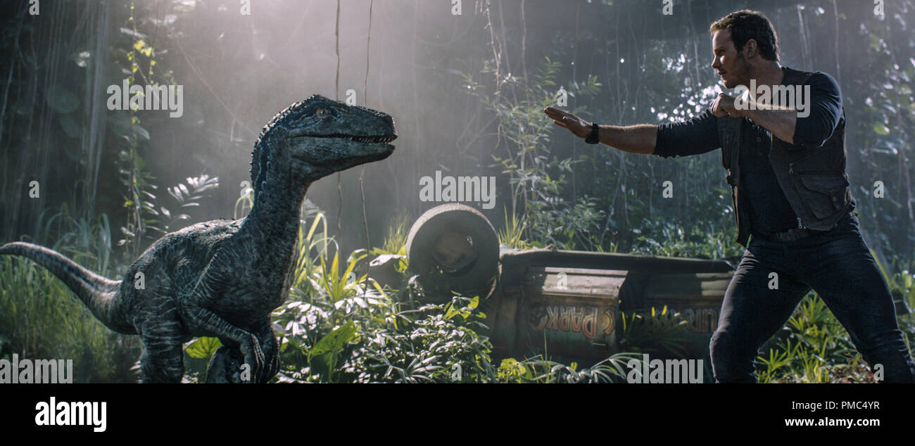 Owen Chris Pratt Reconnects With Velociraptor Blue In Jurassic World Fallen Kingdom When The Island S Dormant Volcano Begins Roaring To Life Owen And Claire Mount A Campaign To Rescue The Remaining Dinosaurs